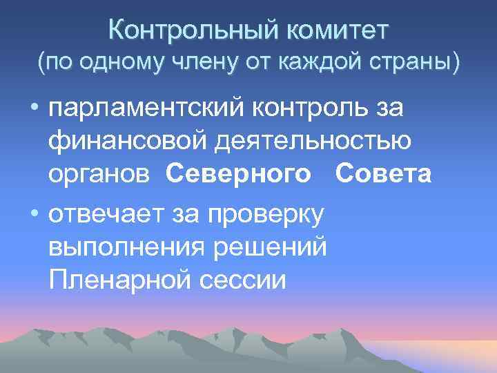 Контрольный комитет (по одному члену от каждой страны) • парламентский контроль за финансовой деятельностью