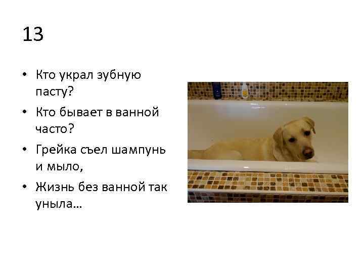 13 • Кто украл зубную пасту? • Кто бывает в ванной часто? • Грейка