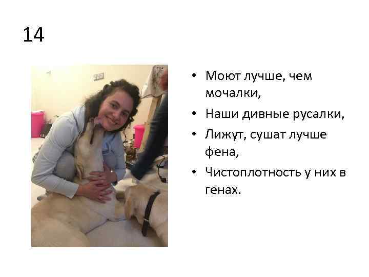 14 • Моют лучше, чем мочалки, • Наши дивные русалки, • Лижут, сушат лучше