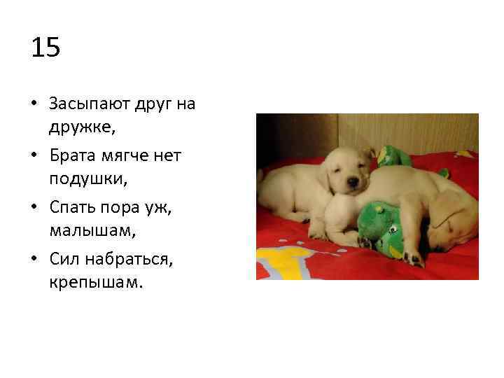 15 • Засыпают друг на дружке, • Брата мягче нет подушки, • Спать пора