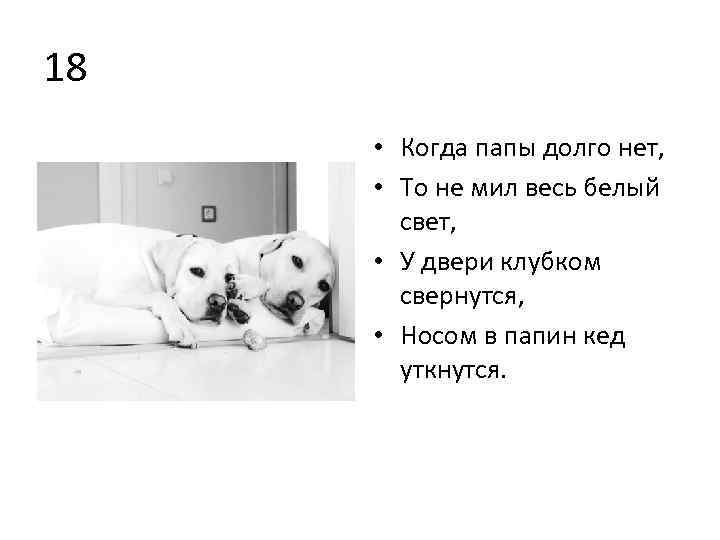 18 • Когда папы долго нет, • То не мил весь белый свет, •