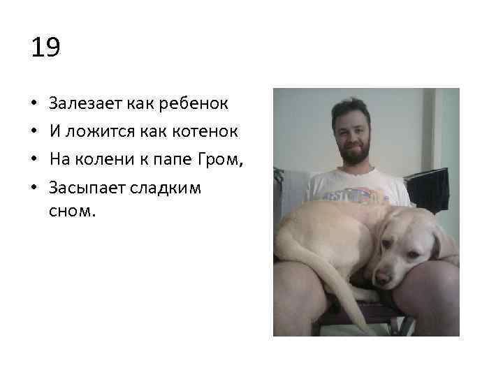 19 • • Залезает как ребенок И ложится как котенок На колени к папе