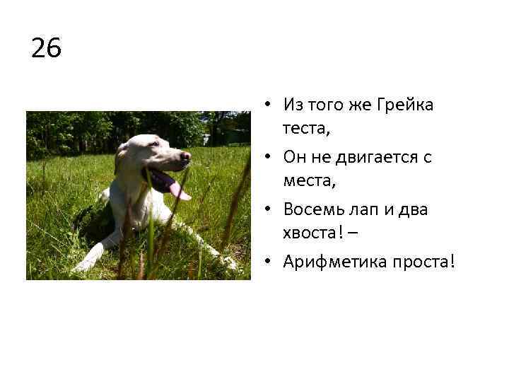 26 • Из того же Грейка теста, • Он не двигается с места, •