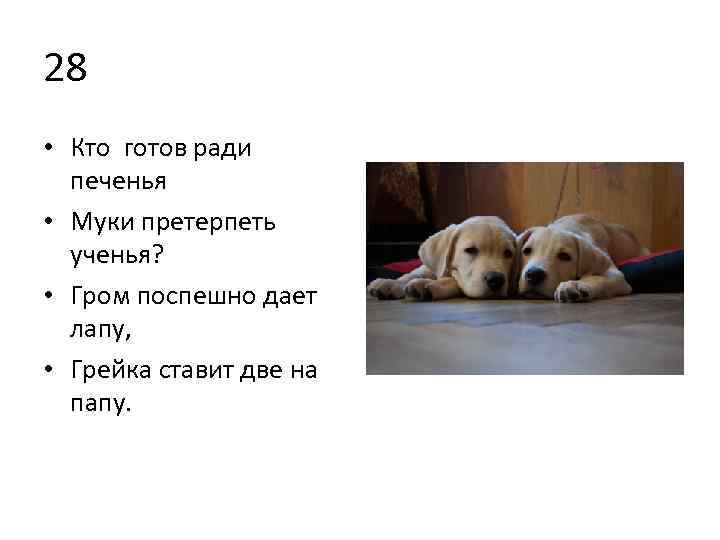 28 • Кто готов ради печенья • Муки претерпеть ученья? • Гром поспешно дает