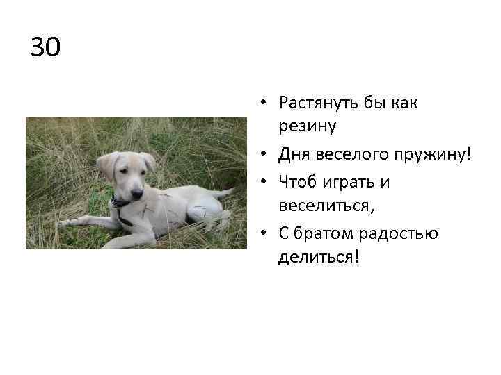 30 • Растянуть бы как резину • Дня веселого пружину! • Чтоб играть и