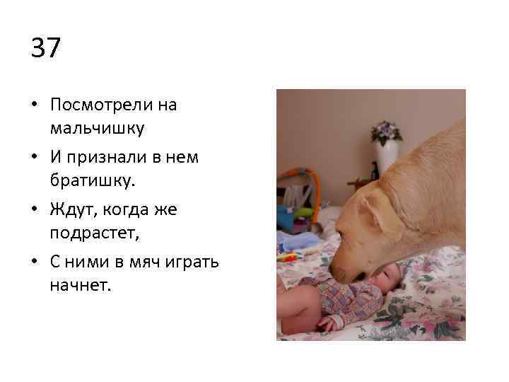 37 • Посмотрели на мальчишку • И признали в нем братишку. • Ждут, когда