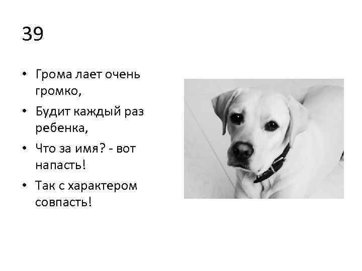 39 • Грома лает очень громко, • Будит каждый раз ребенка, • Что за