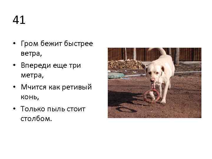 41 • Гром бежит быстрее ветра, • Впереди еще три метра, • Мчится как