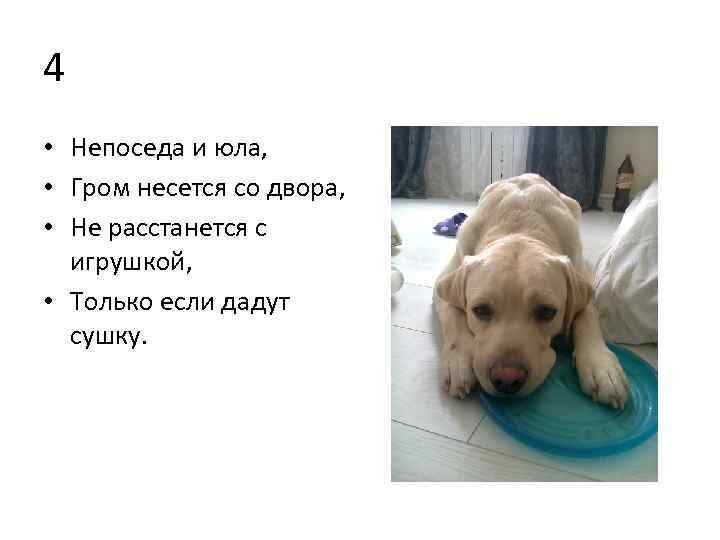 4 • Непоседа и юла, • Гром несется со двора, • Не расстанется с