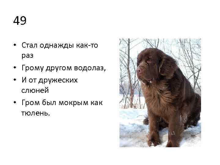 49 • Cтал однажды как то раз • Грому другом водолаз, • И от