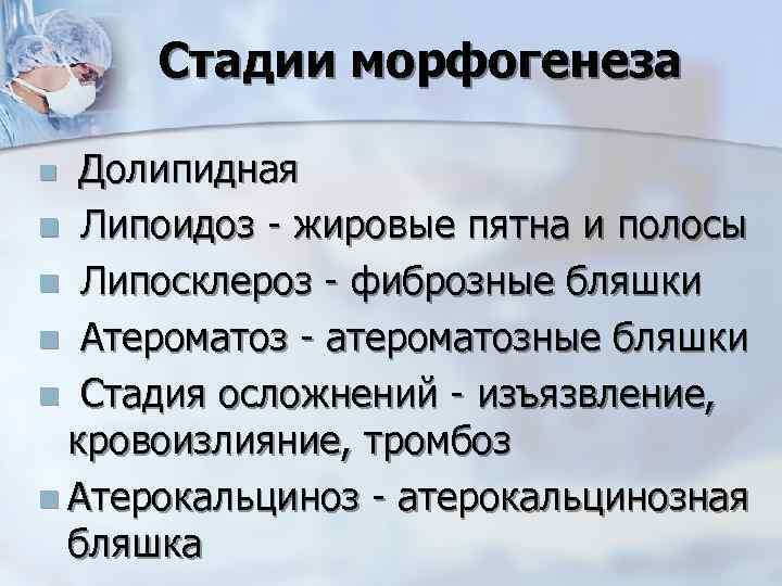Стадии морфогенеза Долипидная n Липоидоз - жировые пятна и полосы n Липосклероз - фиброзные