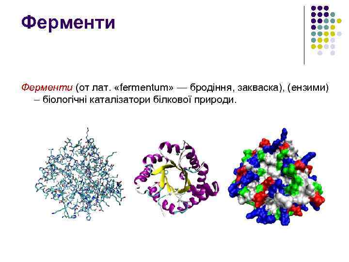 Реферат: Властивості ферментів як біологічних каталізаторів