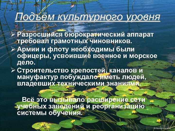 Подъём культурного уровня Ø Разросшийся бюрократический аппарат требовал грамотных чиновников. Ø Армии и флоту