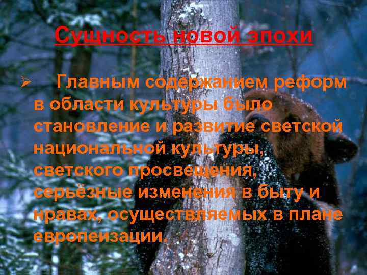 Сущность новой эпохи Ø Главным содержанием реформ в области культуры было становление и развитие