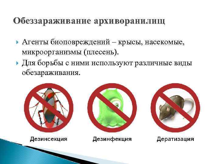 Обеззараживание архиворанилищ Агенты биоповреждений – крысы, насекомые, микроорганизмы (плесень). Для борьбы с ними используют