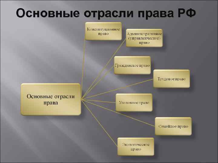 Деление отраслей. Отрасли права в РФ. Основные отрасли права в РФ. Основные отрасли российского права. Ведущие отрасли права.