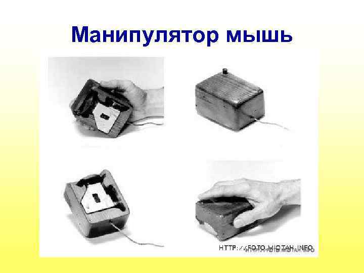 Манипулятор мышь 