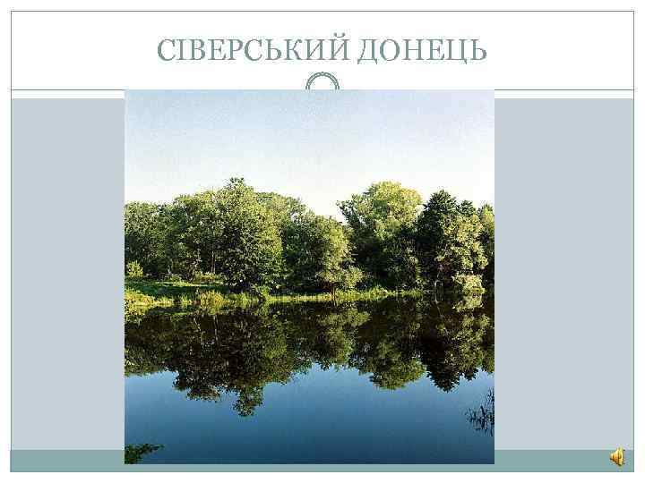 СІВЕРСЬКИЙ ДОНЕЦЬ 