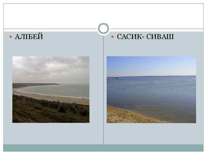  АЛІБЕЙ САСИК- СИВАШ 