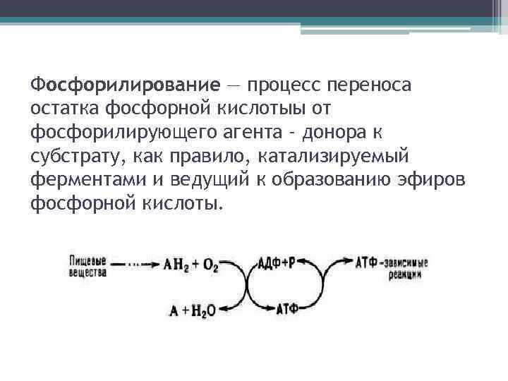 Фосфорилирование — процесс переноса остатка фосфорной кислотыы от фосфорилирующего агента - донора к субстрату,