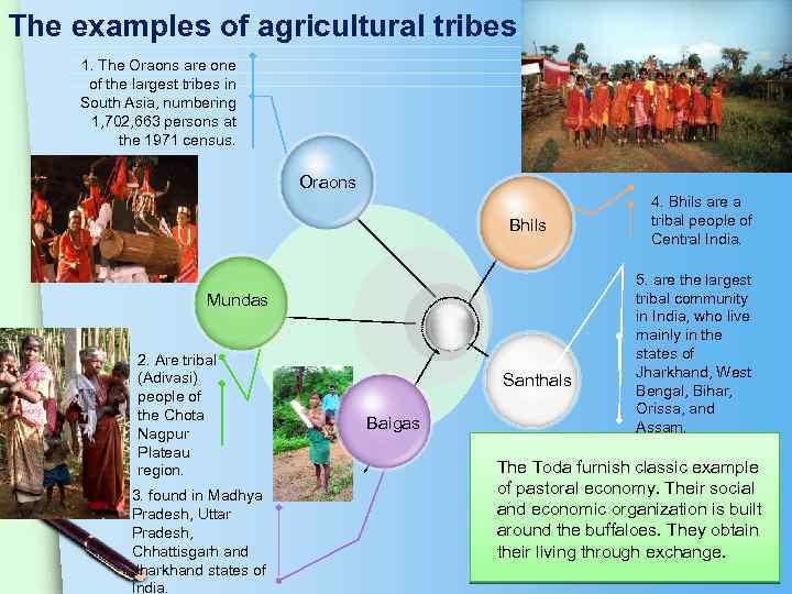 The examples of agricultural tribes 1. The Oraons are one of the largest tribes