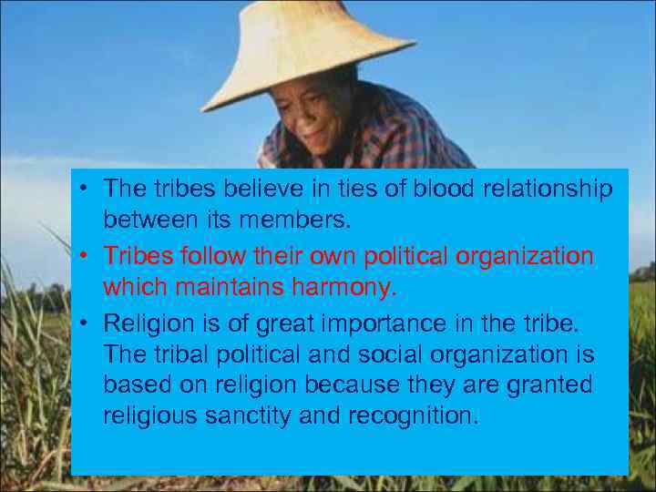  • The tribes believe in ties of blood relationship between its members. •