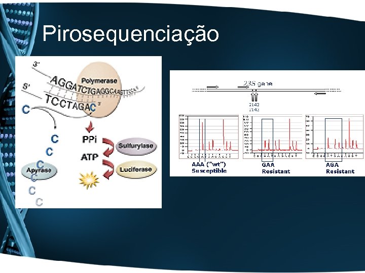 Pirosequenciação 