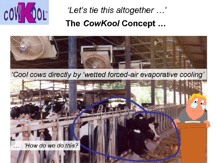‘Let’s tie this altogether …’ The Cow. Kool Concept … ‘Cool cows directly by