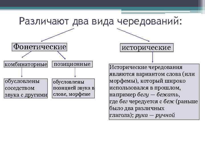 Проанализируйте позиционные чередования