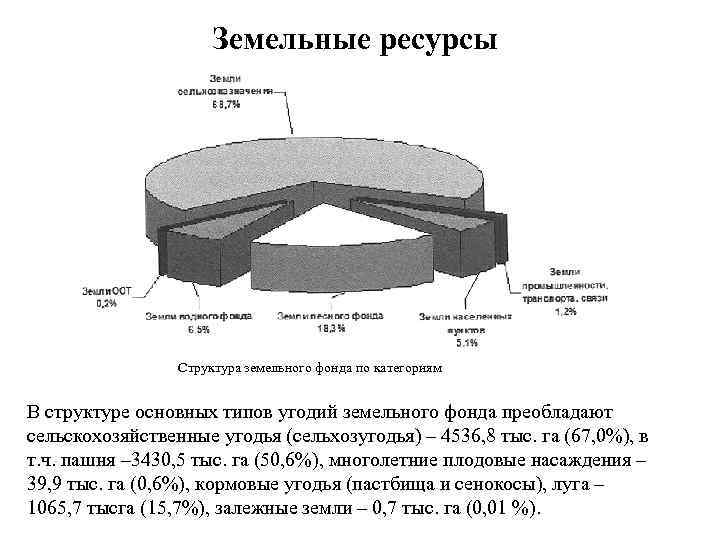 Земельные ресурсы Структура земельного фонда по категориям В структуре основных типов угодий земельного фонда