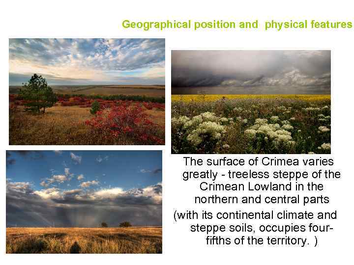 Geographical position and physical features The surface of Crimea varies greatly - treeless steppe