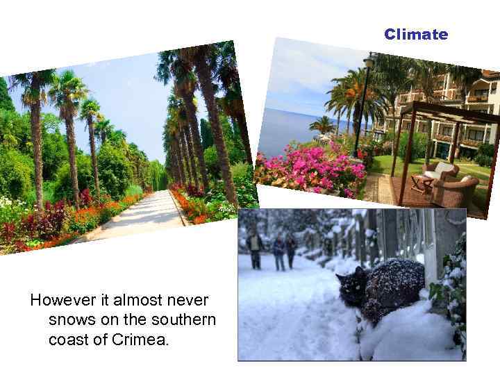 Climate However it almost never snows on the southern coast of Crimea. 