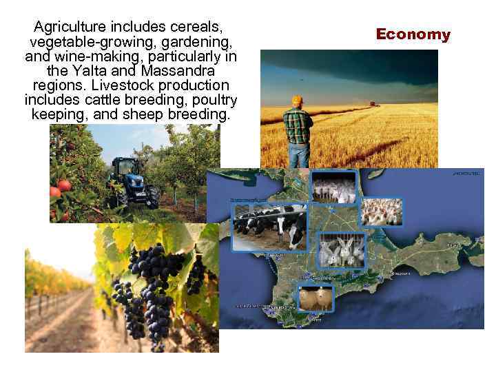 Agriculture includes cereals, vegetable-growing, gardening, and wine-making, particularly in the Yalta and Massandra regions.