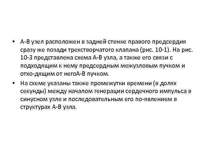  • A В узел расположен в задней стенке правого предсердия сразу же позади