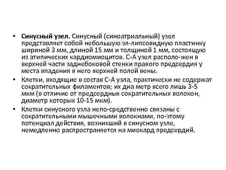  • Синусный узел. Синусный (синоатриальный) узел представляет собой небольшую эл липсовидную пластинку шириной