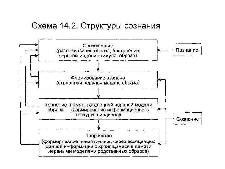 Структура сознания по в п зинченко схема