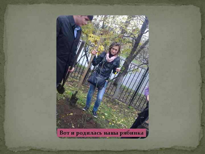 Вот и родилась наша рябинка 