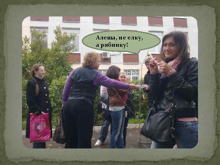 Алеша, не елку, а рябинку! 