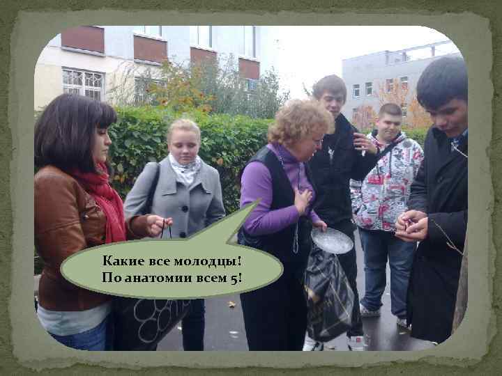 Какие все молодцы! По анатомии всем 5! 