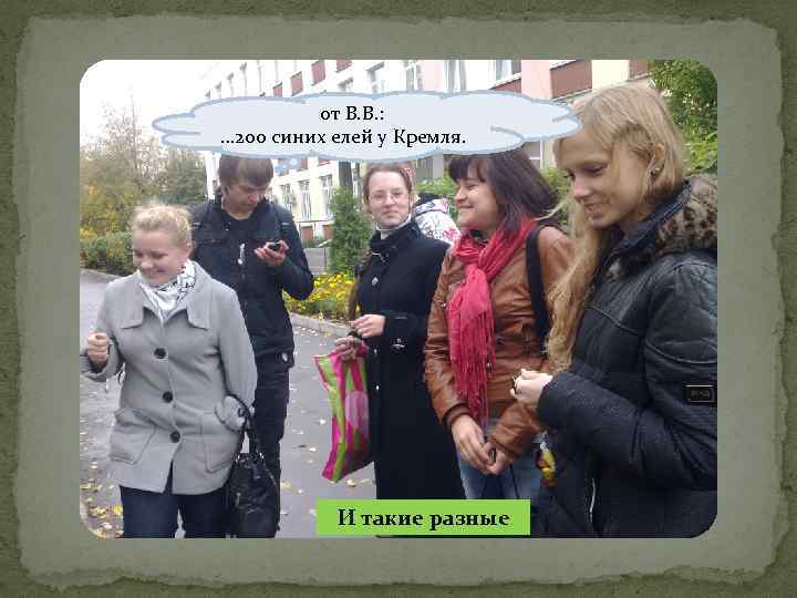 от В. В. : … 200 синих елей у Кремля. И такие разные 