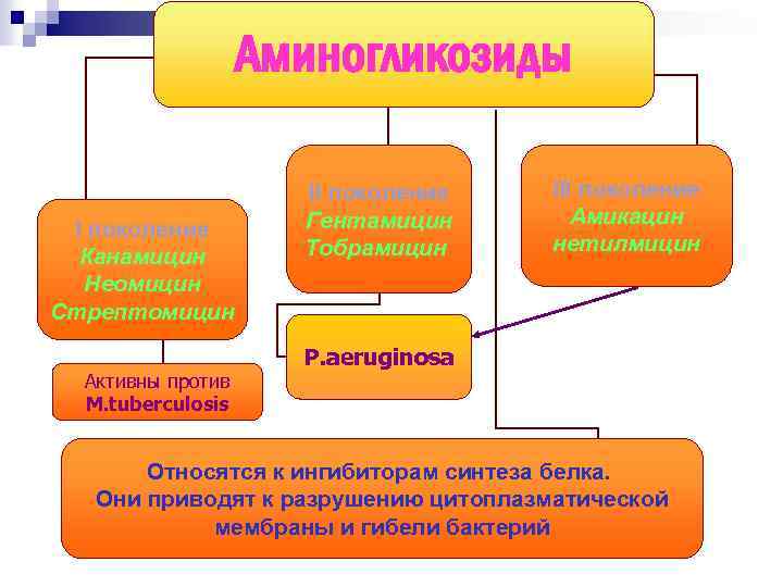 Аминогликозиды I поколение Канамицин Неомицин Стрептомицин Активны против M. tuberculosis II поколение Гентамицин Тобрамицин