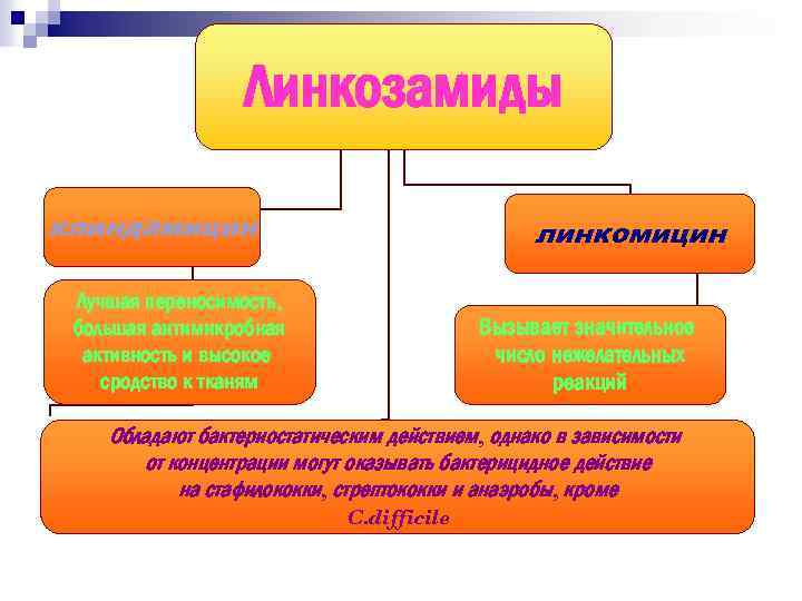 Линкозамиды клиндамицин линкомицин Лучшая переносимость, большая антимикробная активность и высокое сродство к тканям Вызывает