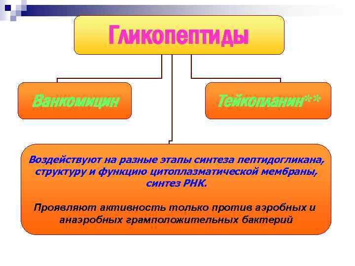 Гликопептиды Ванкомицин Тейкопланин** Воздействуют на разные этапы синтеза пептидогликана, структуру и функцию цитоплазматической мембраны,