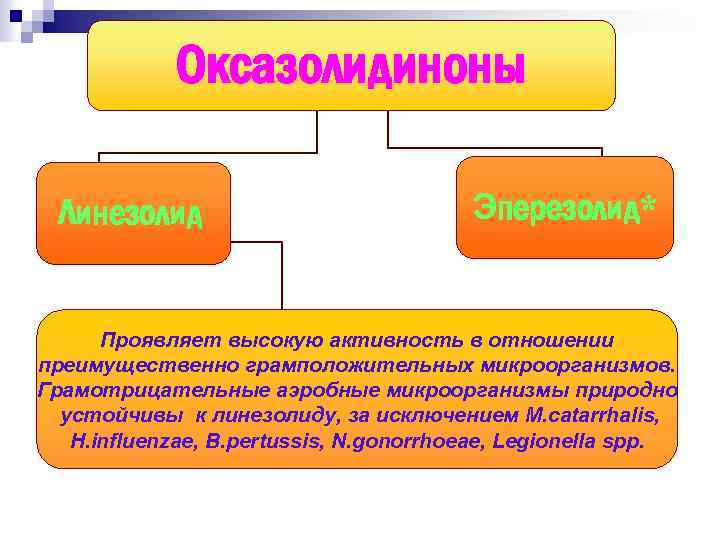 Оксазолидиноны Линезолид Эперезолид* Проявляет высокую активность в отношении преимущественно грамположительных микроорганизмов. Грамотрицательные аэробные микроорганизмы