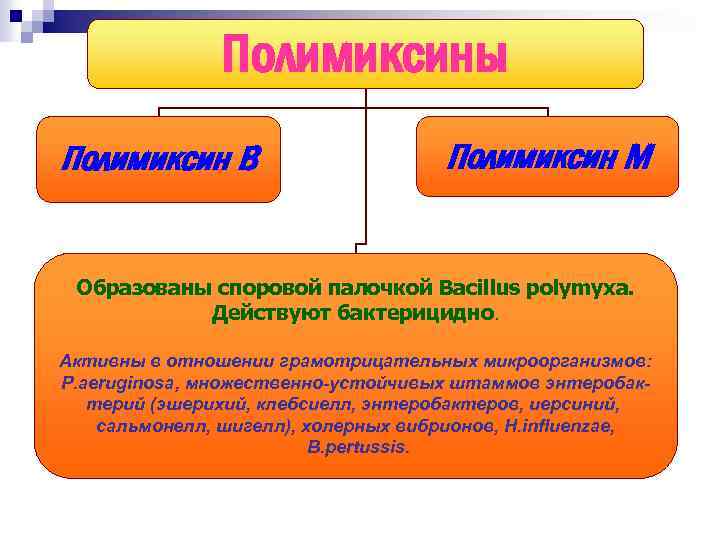 Полимиксины Полимиксин В Полимиксин М Образованы споровой палочкой Bacillus polymyxa. Действуют бактерицидно. Активны в