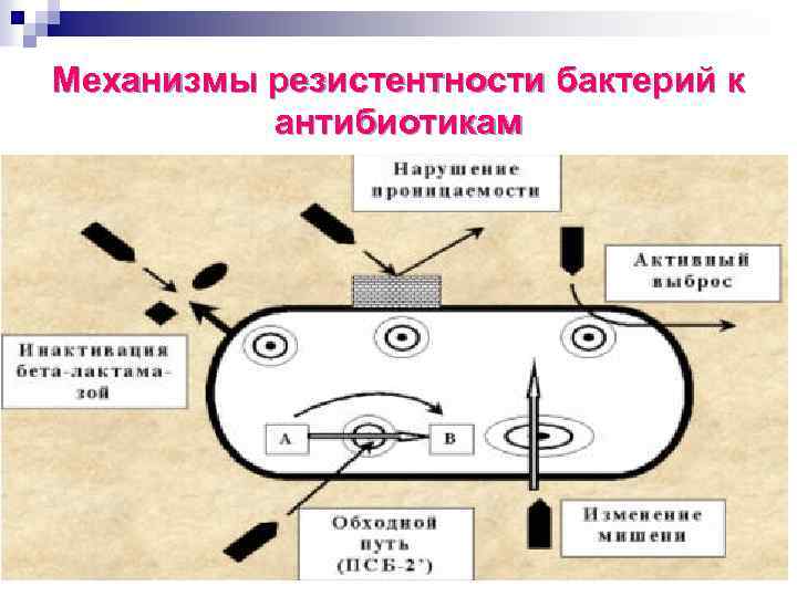 Механизм бактерий. Механизмы развития приобретенной устойчивости к антибиотикам. Механизм формирования резистентности бактерий к антибиотикам. Механизм возникновения устойчивости бактерий к антибиотикам. Механизмы формирования устойчивости к антибиотикам у бактерий.