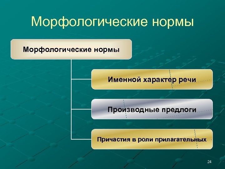 Морфологические нормы Именной характер речи Производные предлоги Причастия в роли прилагательных 24 