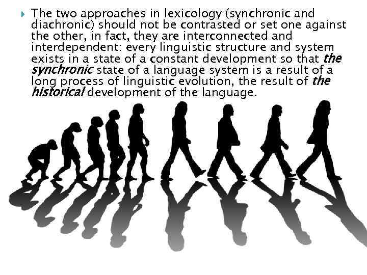  The two approaches in lexicology (synchronic and diachronic) should not be contrasted or
