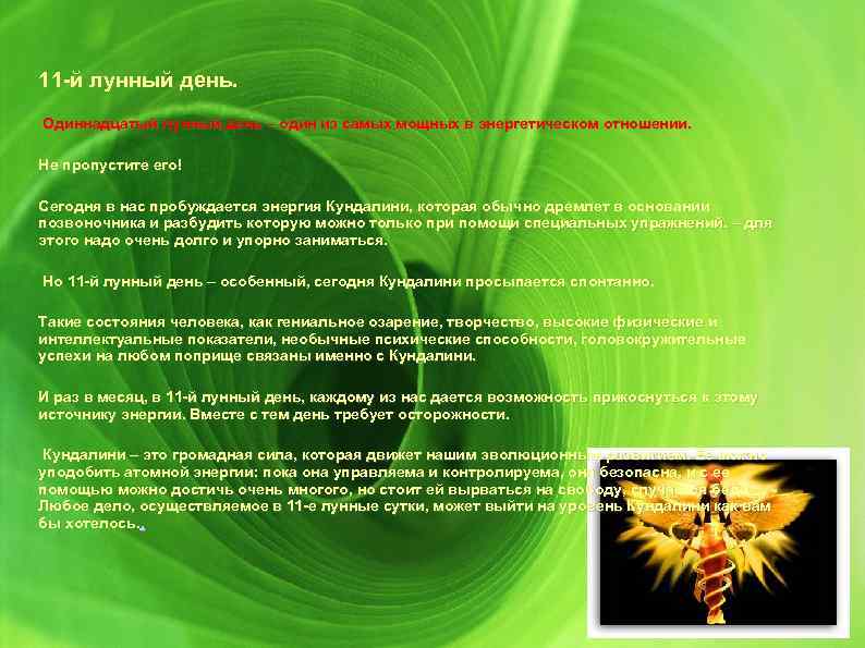 11 -й лунный день. Одиннадцатый лунный день – один из самых мощных в энергетическом