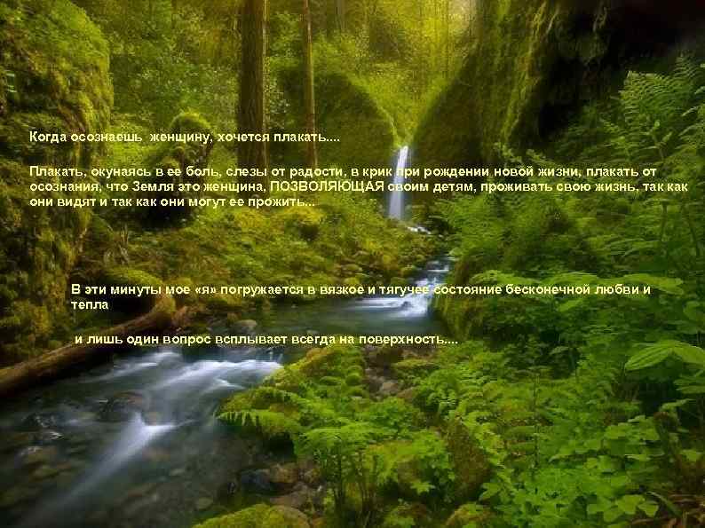 Когда осознаешь женщину, хочется плакать. . Плакать, окунаясь в ее боль, слезы от радости,